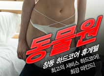 오피스타 | [창동휴게텔-동물원]