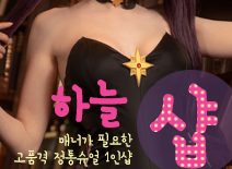 오피스타 | [아산건마-하늘1인샵]