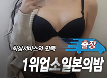오피스타 | [강남출장-1위업소일본의밤]
