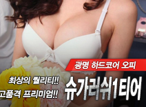 오피스타 | [광명오피-슈가러쉬1티어]