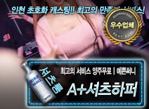 오피스타 | [A+셔츠하퍼-양주무료ㅣ예쁜써니]
