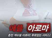 오피스타 | [춘천건마-애플아로마]