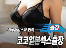 오피스타 | [안산출장-코코일본섹스출장]