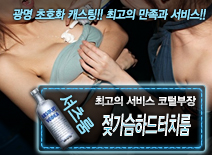 오피스타 | [젖가슴하드터치룸-코털부장]