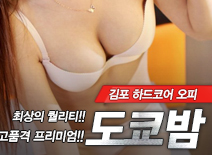 오피스타 | [김포오피-도쿄밤]