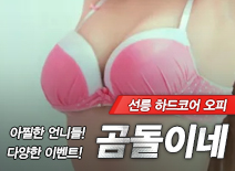 오피스타 | [선릉오피-곰돌이네]