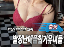 오피스타 | [천안출장-발정난애플힙거유녀들]