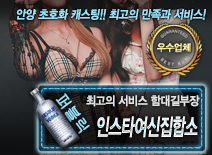 오피스타 | [인스타여신집합소-함대길부장]
