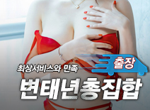 오피스타 | [김포출장-변태년총집합]