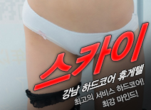오피스타 | [강남휴게텔-스카이]