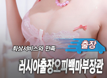 오피스타 | [강서출장-러시아출장오피백마부장관]