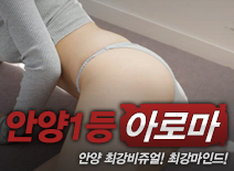 오피스타 | [안양건마-안양1등]